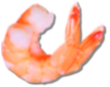 Shrimps