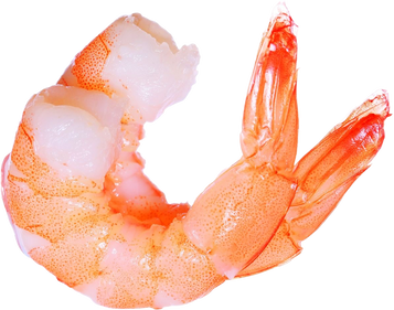 Shrimps