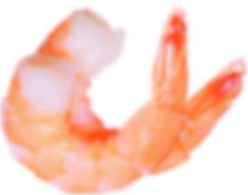 Shrimps